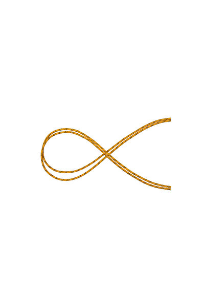 Mammut Coarda Statica Performance 10.0 Yellow-Black.200 M