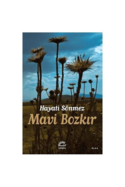 İletişim Yayınları Mavi Bozkır / Hayati Sönmez