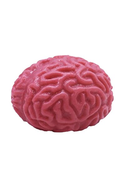 Choice Red Plus Size Large Brain Squishy Squeeze Ball Giant Jumbo Big Brain B...