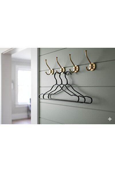 Generic 5-piece clothes and coat hanger set, closet organizer