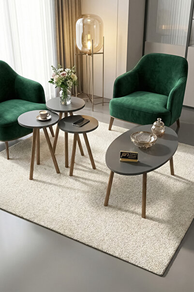 PDMPOİNT DOLAP MARKET Flora Bonibon 3 lü Zigon Ve Elips Orta Sehpa - Antrasit