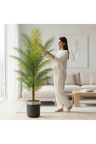 ERHAN FLOWERS Yapay areka palmiyesi Siyah gümüş saksı 150 cm