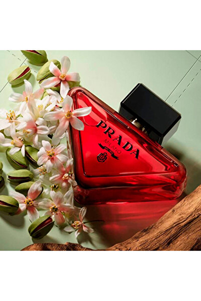 PARADOXE عطر راديكال إيسنس سوبر ماستر ريبليكا بنفس العطر