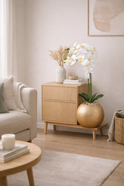 SADANHOME Orchid rose seedling, 2 branches, 60cm plastic pot