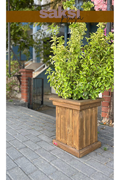 Store Ahşap Saksı %100 El Yapımı Çam – Isıl İşlemli, Su Geçirmez – 37x37x45 cm