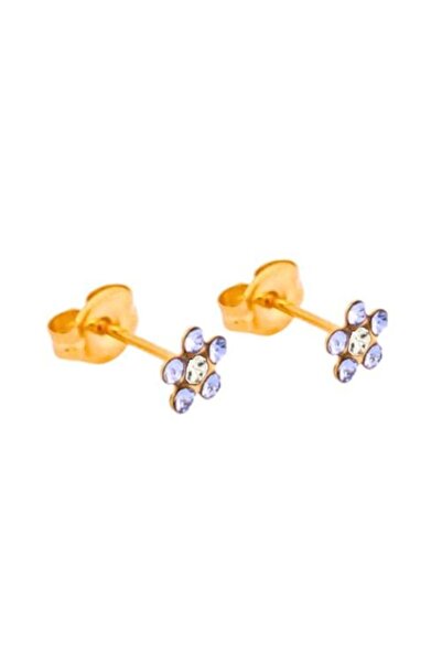 Stridex American Medical Earrings from - S6284