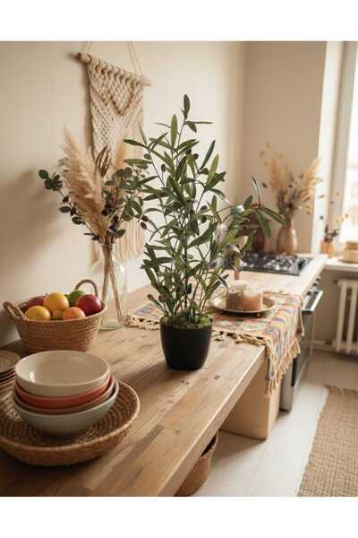 Cennet Home Ege Esintisi Zeytin Fidanı 70 cm – Doğal Görünümlü Dekoratif Yapa...