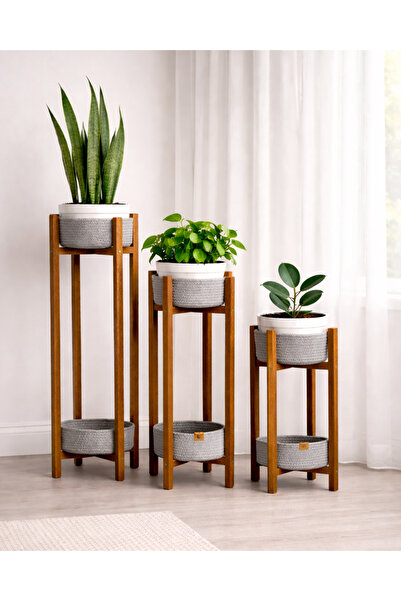 Weblonya Ahşap Saksı 3 lü Saksı Seti Ahşap Saksılık Çiçeklik 5060