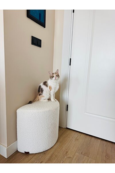 S Home Design Concept Moon Teddy Puf