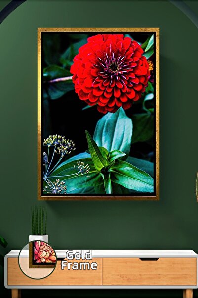 KOSS Dijital Κόκκινο λουλούδι ζινίας ζωηρόχρωμο ζωγραφική σε καμβά με θέμα το...