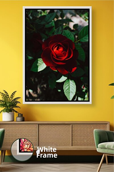 KOSS Dijital Εκπληκτική διακόσμηση σπιτιού με λεπτομέρεια από βαθύ κόκκινο τρ...