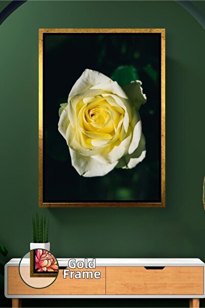 KOSS Dijital Fotografie de flori de trandafir alb, galben, în apropiere, simp...