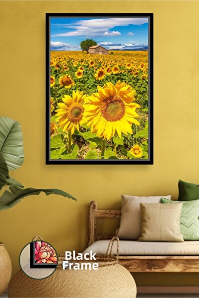 KOSS Dijital Pictură pe pânză cu peisaj de câmp de floarea soarelui, natură c...