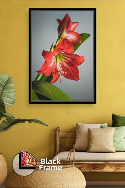 KOSS Dijital Клозъп на червено амарилисово цвете Модерна декорация за дома Хо...