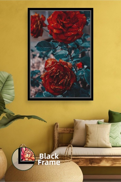 KOSS Dijital Floare de trandafir burgundă, plan apropiat, decorare romantică ...