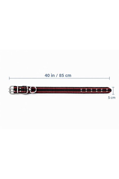 BİRLİK SARACİYE 5 cm Dog Leash |   Kangal and Similar Breeds of Dogs