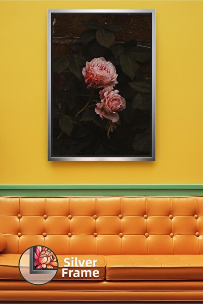 KOSS Dijital Floare de trandafir roz pudrat pe fundal închis, decor de perete...