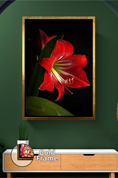 KOSS Dijital Картина с рамка с дизайн на червено амарилис цвете за декорация ...