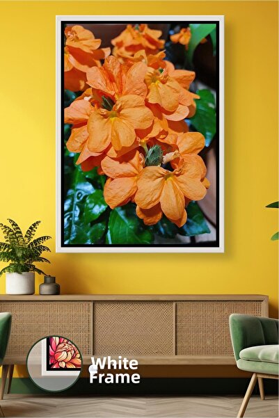 KOSS Dijital Fotografie de aproape cu flori portocalii, frunze naturale, deta...