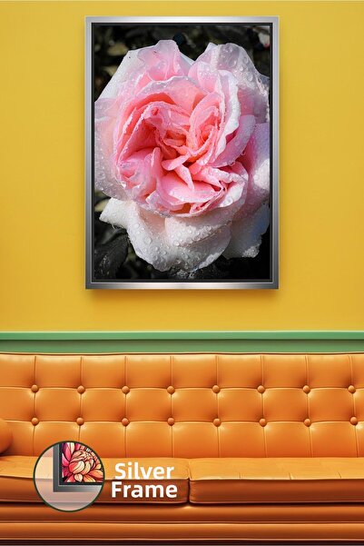 KOSS Dijital Pictură cu flori de trandafir roz Pictură pe pânză înrămată pent...