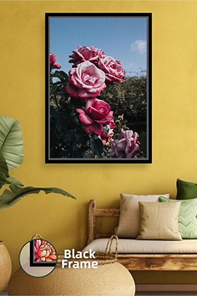 KOSS Dijital Ροζ τριαντάφυλλο με φυσικό λουλούδι Φωτογραφία στον κήπο Ρομαντι...