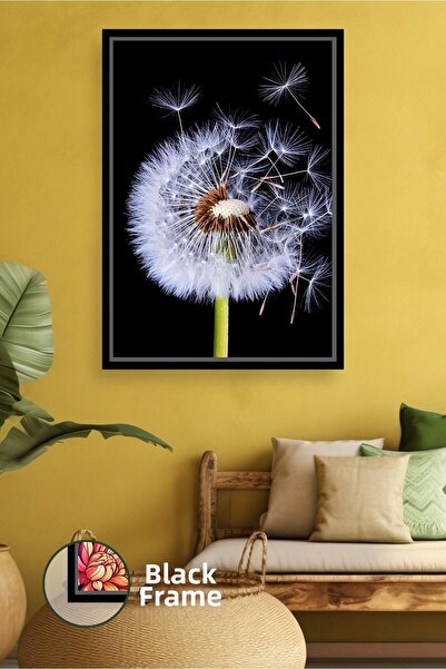 KOSS Dijital Близък план на природа - снимка на цвете от глухарче на черен фо...