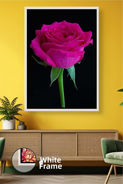 KOSS Dijital Pictură cu flori de trandafir fucsia, pictură pe pânză înrămată ...