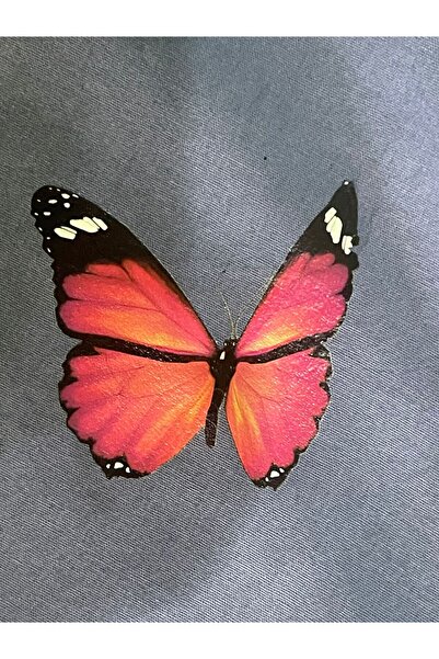 Gönülden Tasarım Εκτύπωση μεταφοράς πεταλούδας 9x8 εκ. που συγκολλείται με σί...