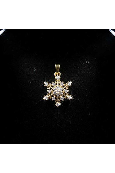 Ralp Moda قلادة ندفة الثلج مع حجر الزركون وعلبة فولاذية