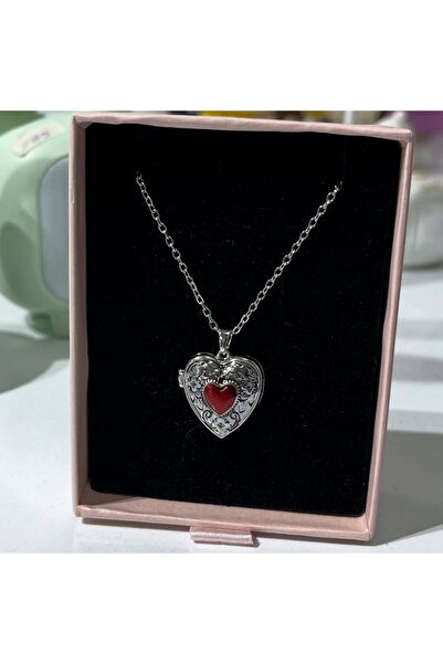 FG KONNİCHİWA Women's Steel Clad Heart Necklace Steel Chain Photo Insertable Necklace with Twisted Chain