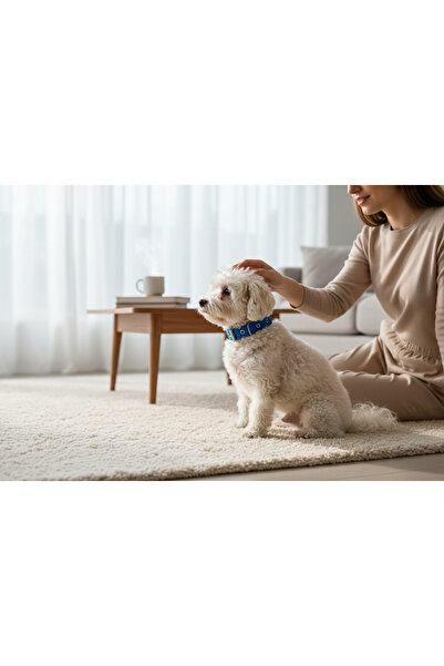 shop مقود للكلاب الصغيرة الحجم