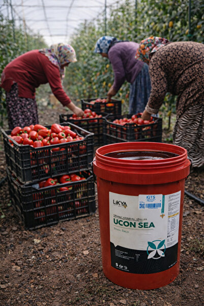 LİKYA KİMYA Ucon Sea Sıvı Deniz Yosunu Gübre