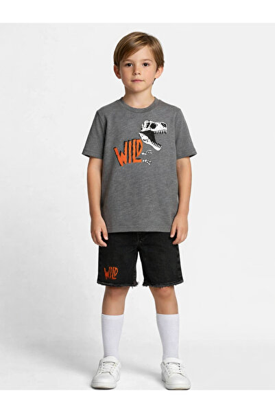 Casabony شورت وايلد دينو رمادي من قماش الدنيم + تي شيرت مقاس البدلة: 6 سنوات