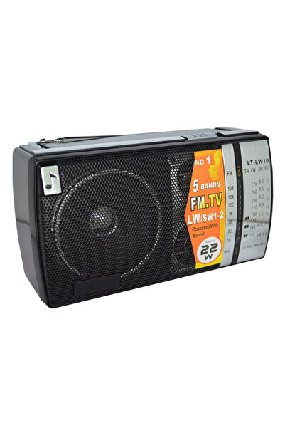 OEM LT-LW 10 Portable radio with powerful speaker