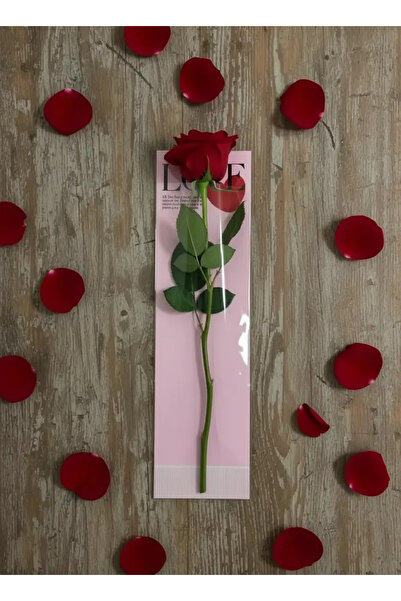 weloveis Single Flower Bouquet Packaging - Pink Background - 100 Pieces
