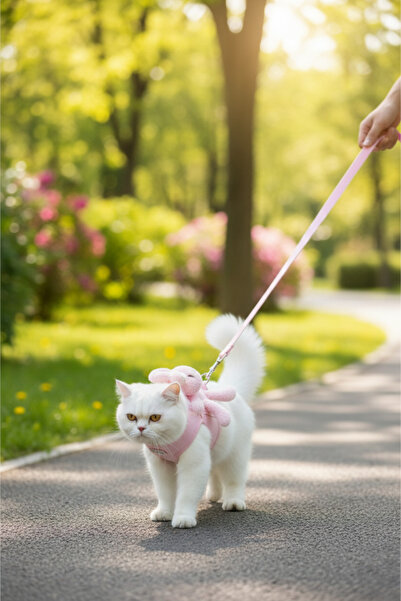 yusa stores Kedi Köpek Göğüs Tasması Seti Peluş Ayıcıklı Gezdirme Tasması