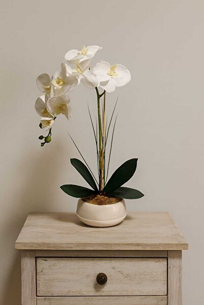 MAKİ DEKOR DEKORATİF MODERN SAKSIDA ISLAK DOKULU YAPAY ORKİDE ÇİÇEĞİ