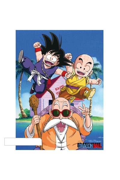 Dragon Ball Posterul Maestrul Roshi, 52x38cm, Zumzeria