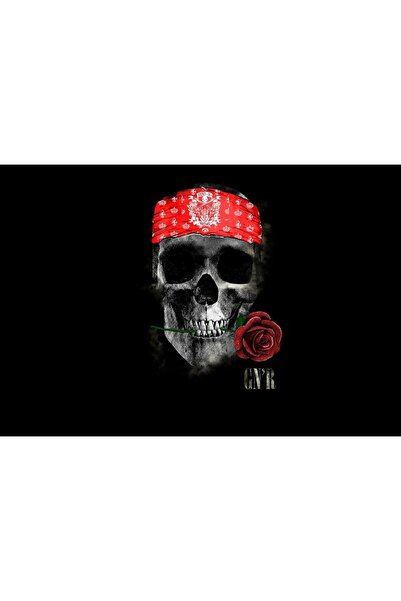 OEM Poster Guns N Roses, 61x90cm, Zumzeria