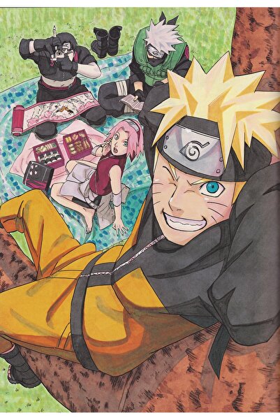 OEM Poster Naruto Picnic, 61x90cm, Zumzeria