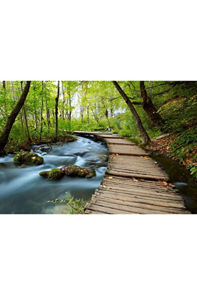 Zumzeria Tablou Canvas Fascinantă Alee de Lemn în Pădure, 80x50cm, tabloucanv...