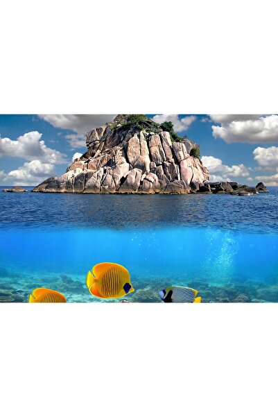 Zumzeria Pictură pe pânză Viață marină și plajă exotică, 80x50cm, pictură pe ...