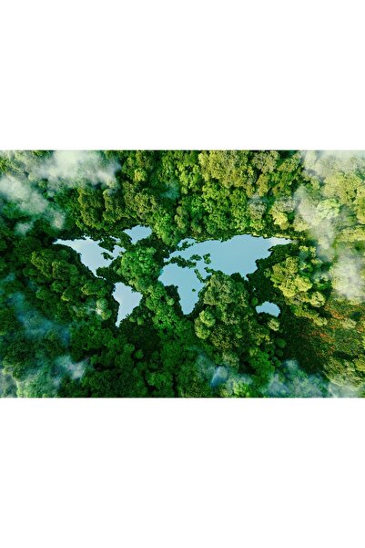 Zumzeria Tablou Canvas Въздушен изглед на красива екосистема, 80x50см, tabulo...