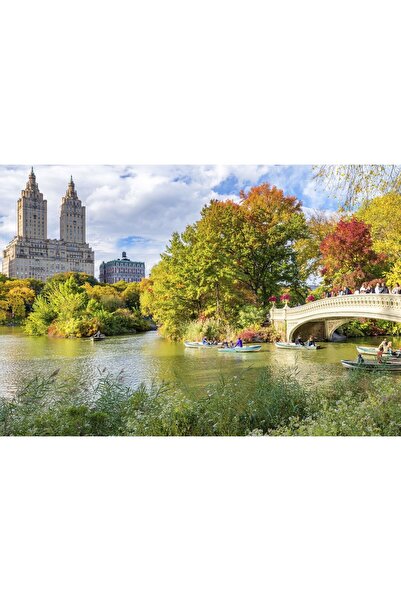 Zumzeria Tablou Canvas Famous Central Parc In USA, 80x50cm, tabloucanvas1217,