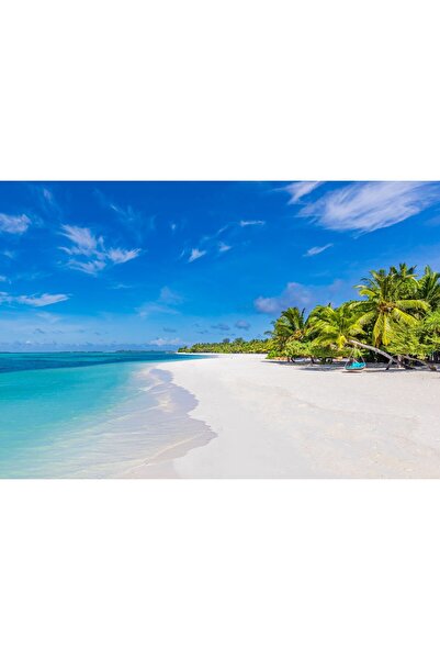 Zumzeria Tablou Canvas Empty Beach In Paradise, 80x50cm, tabloucanvas1049,