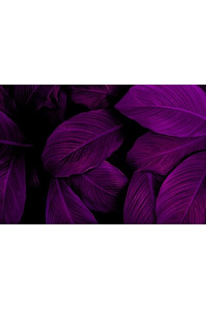 Zumzeria Pictură pe pânză decorativă Frunze de palmier violet minunate, 80x50...