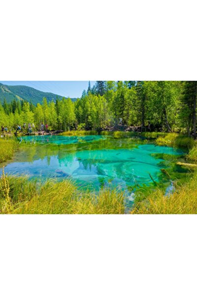 Zumzeria Tablou Canvas Splendid Bright Green Forest, 80x50cm, tabloucanvas1055,