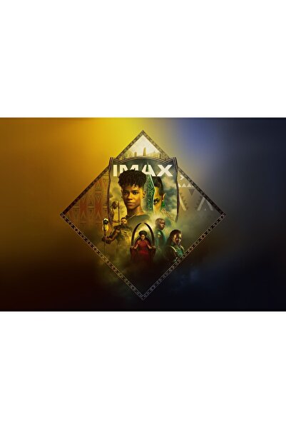 OEM Poster Pantera Neagră 2 Imax, 61x90cm, poster2708, Zumzeria