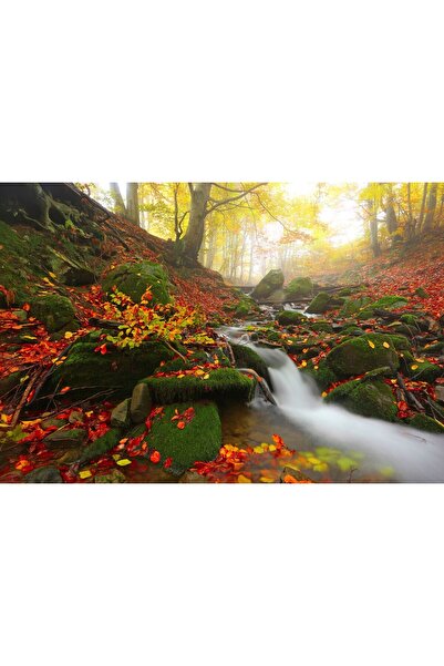 Zumzeria Tablou Canvas Fall Foliage And A Flowing Stream, 80x50cm, tabloucanv...