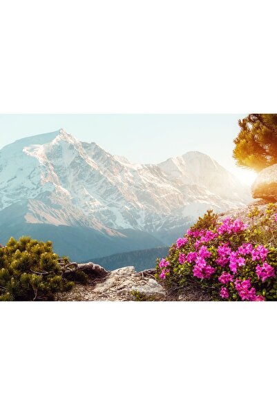 Zumzeria Tablou pe pânză Vedere frumoasă dintr-un munte abrupt și stâncos, 80...